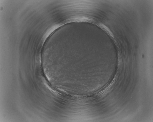 X0000066971226200604211858