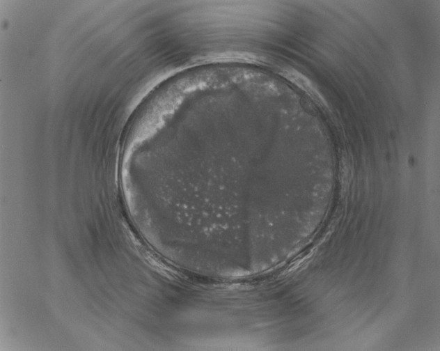 X0000066971228200604211858