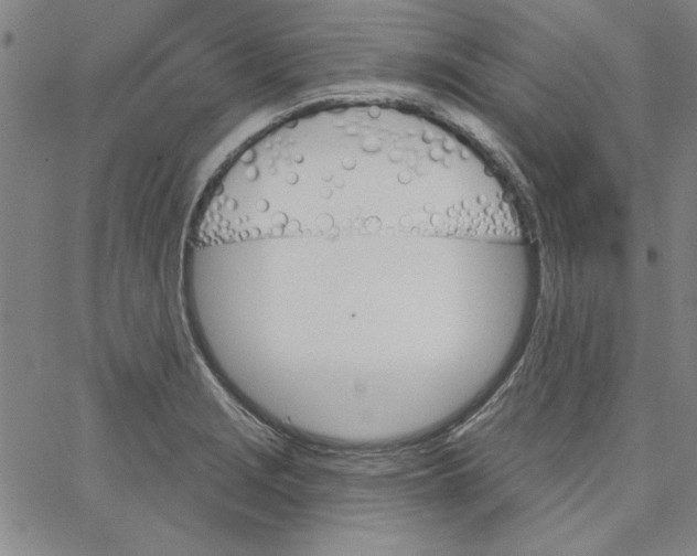 X0000066971229200604211858