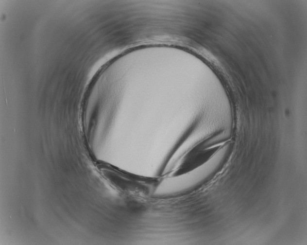 X0000066971230200604211858