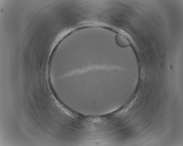 X0000066971231200604211858