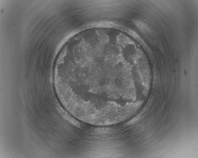 X0000066971232200604211858