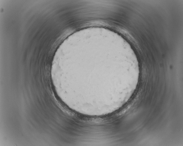 X0000066971233200604211858