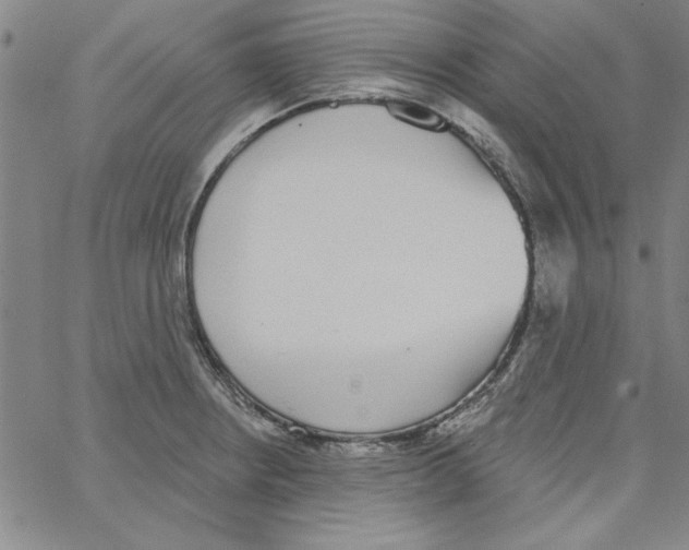 X0000066971234200604211858