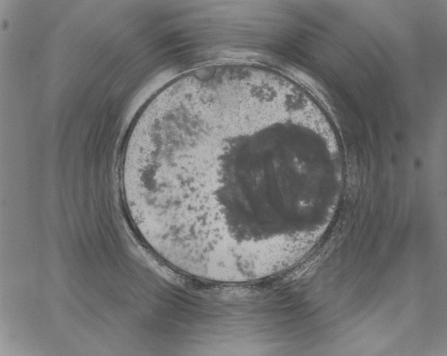 X0000066971235200604211858