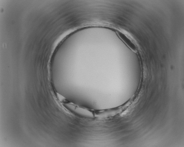 X0000066971238200604211858