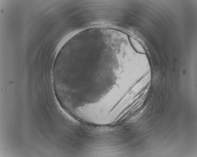 X0000066971239200604211858