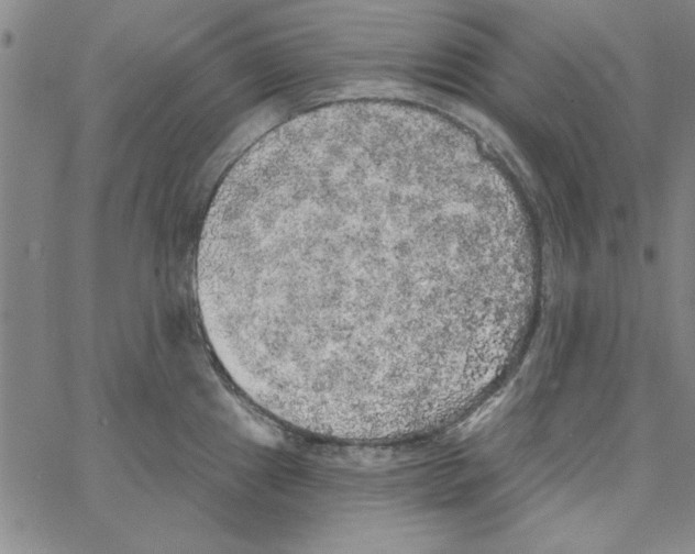 X0000066971241200604211858