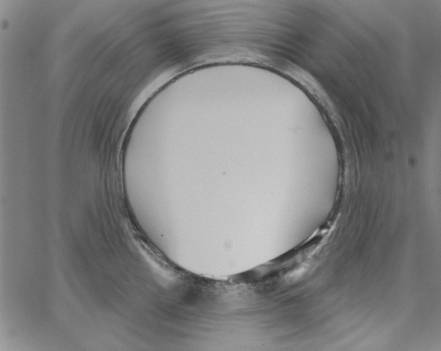 X0000066971242200604211858