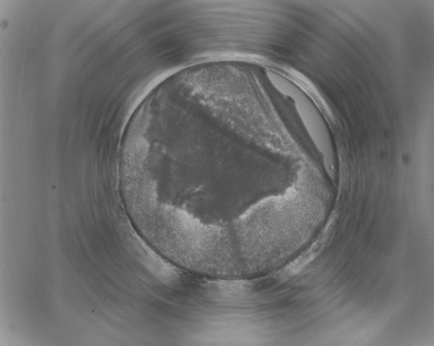 X0000066971244200604211858