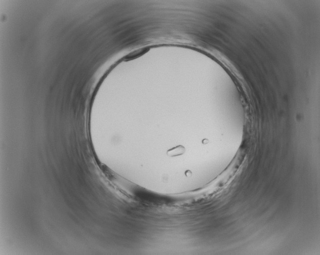 X0000066971246200604211858