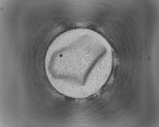 X0000066971249200604211858