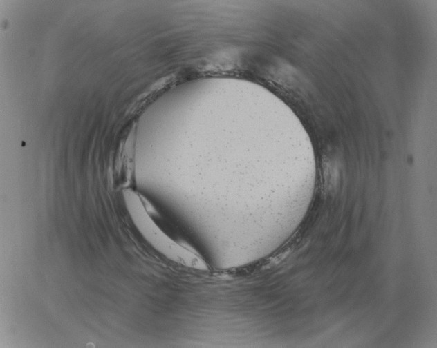 X0000066971250200604211858