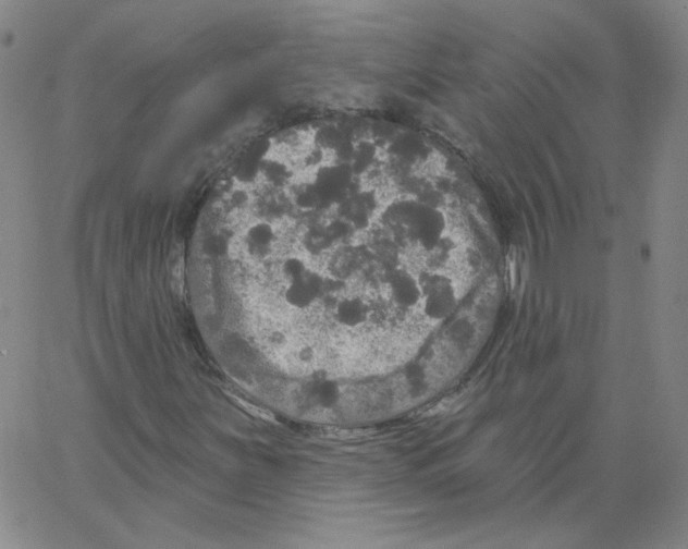 X0000066971251200604211858