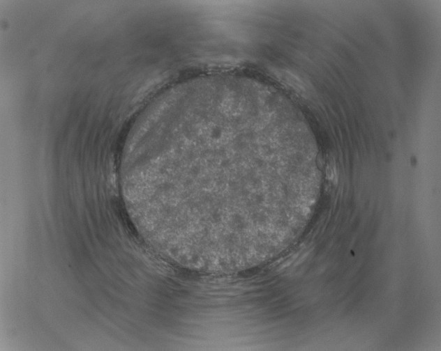 X0000066971252200604211858