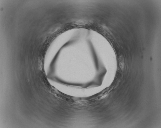 X0000066971253200604211858