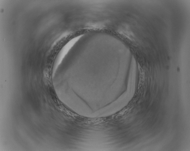 X0000066971254200604211858