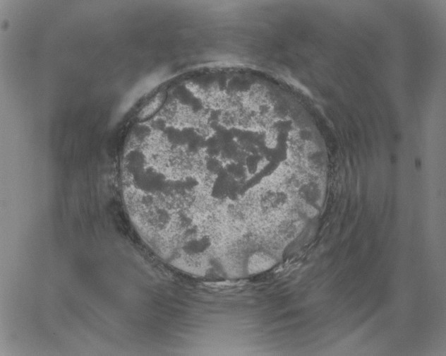 X0000066971255200604211858