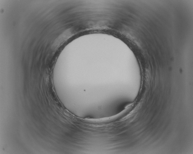 X0000066971257200604211857