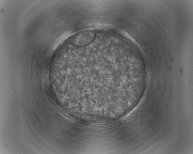 X0000066971259200604211857