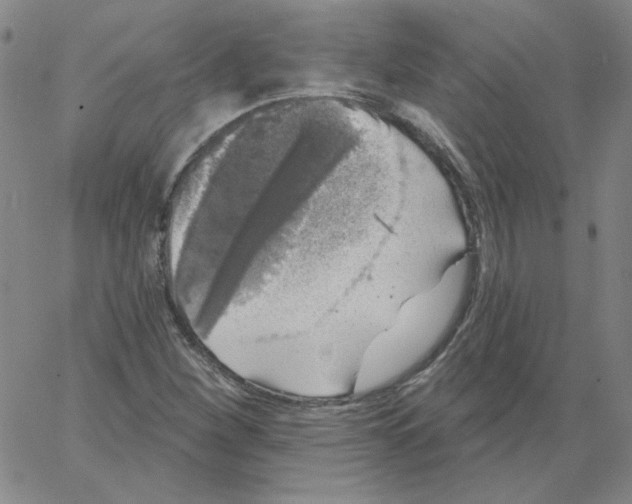 X0000066971260200604211857