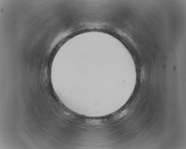 X0000066971261200604211857