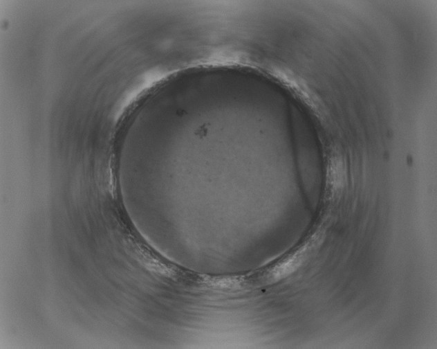 X0000066971262200604211857