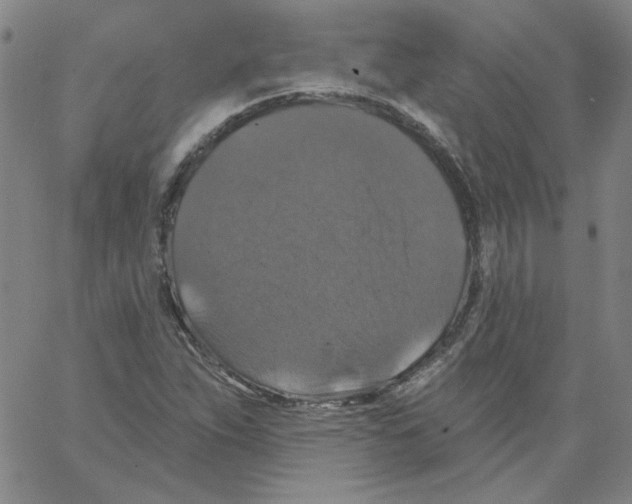 X0000066971263200604211857