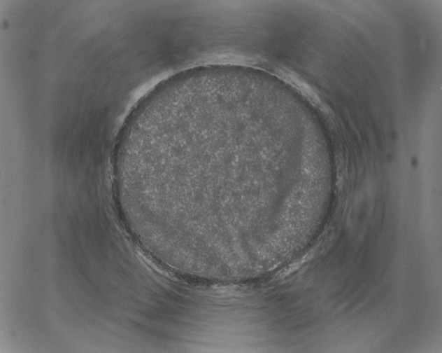 X0000066971264200604211857