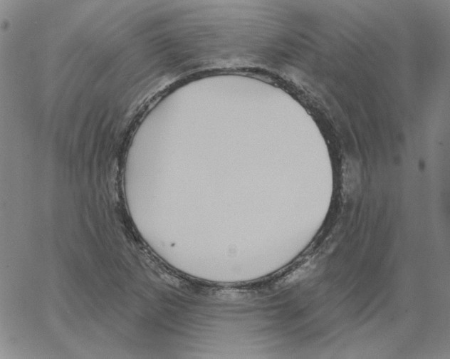 X0000066971265200604211857