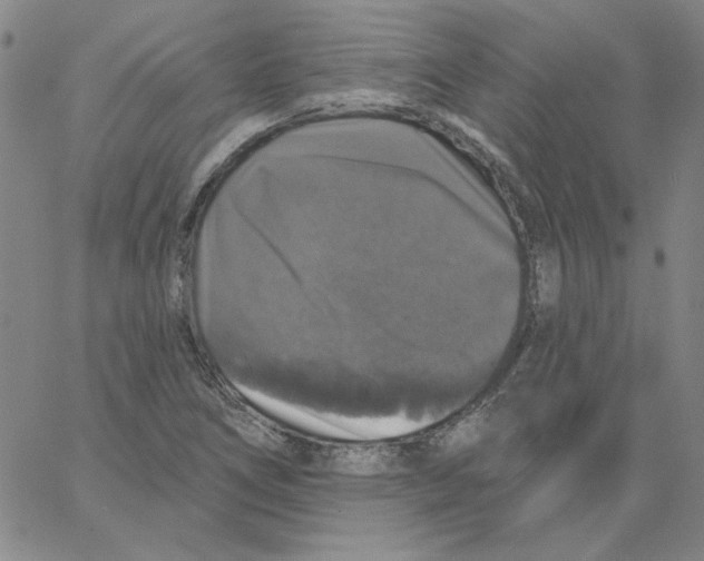 X0000066971266200604211857