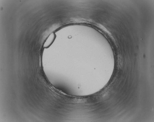 X0000066971269200604211857