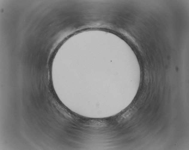 X0000066971270200604211857