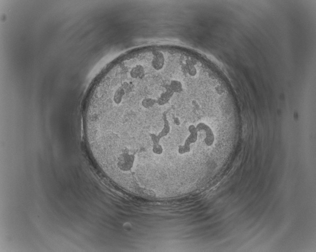 X0000066971271200604211857