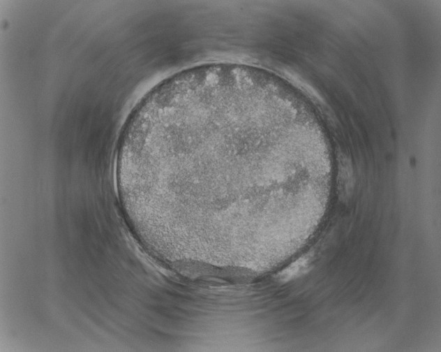 X0000066971272200604211857