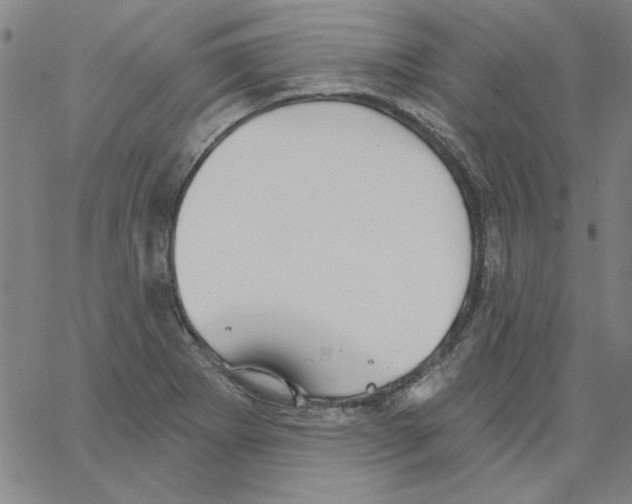 X0000066971273200604211857