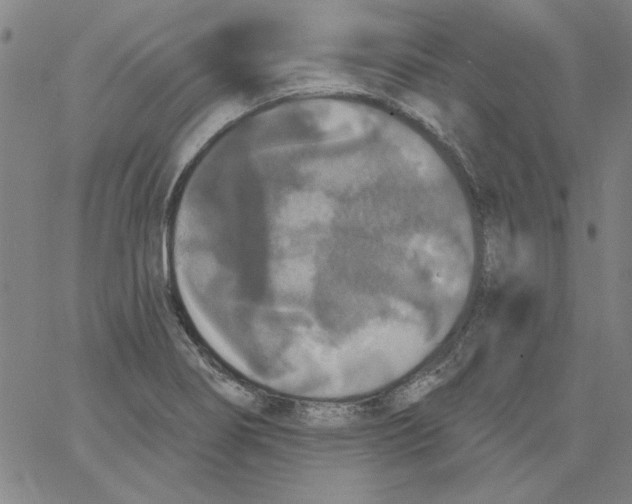 X0000066971274200604211857