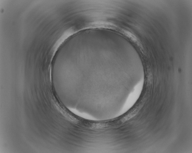 X0000066971275200604211857