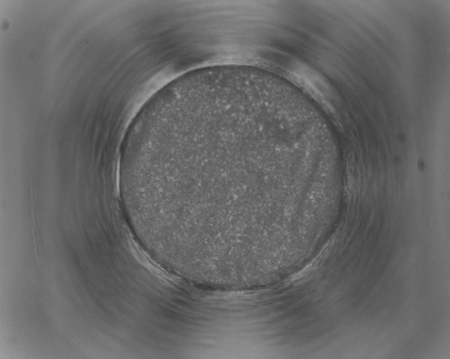 X0000066971276200604211857