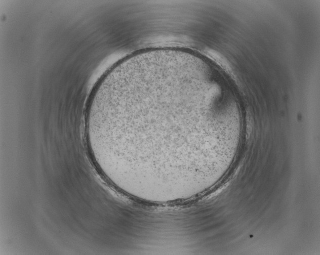 X0000066971277200604211857