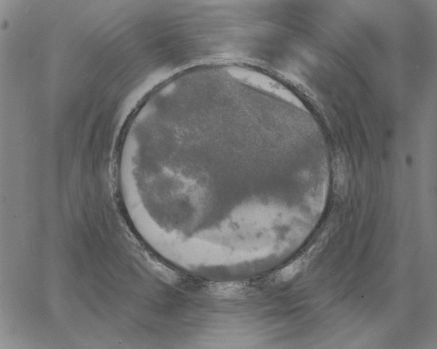 X0000066971278200604211857