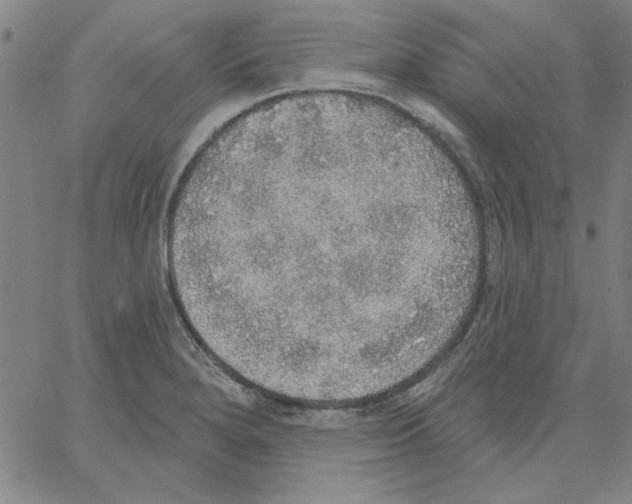 X0000066971280200604211857