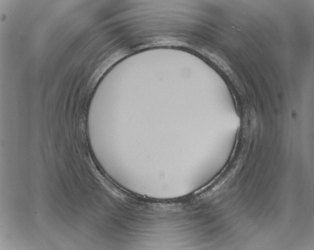 X0000066971281200604211857