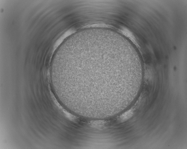 X0000066971282200604211857