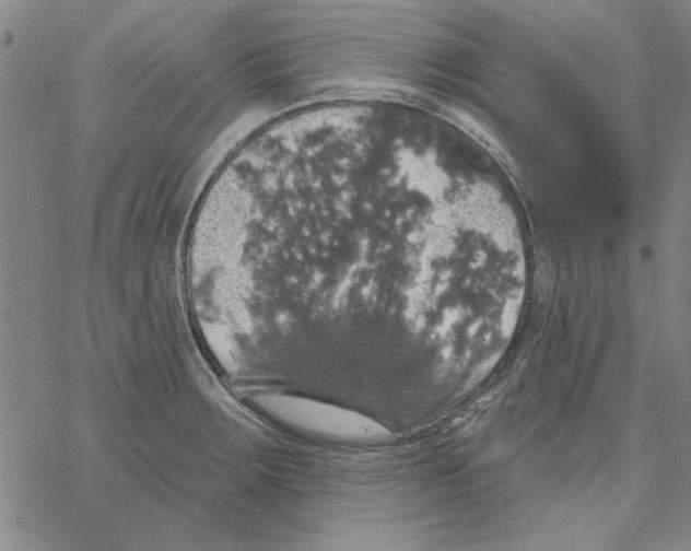 X0000066971283200604211857