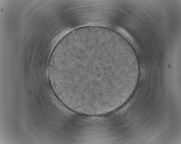 X0000066971284200604211857