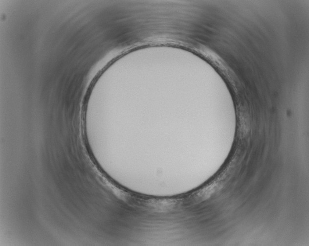 X0000066971286200604211857