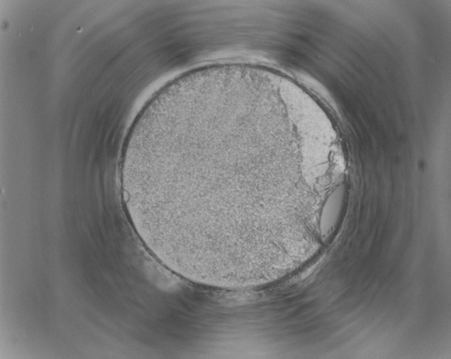 X0000066971288200604211857