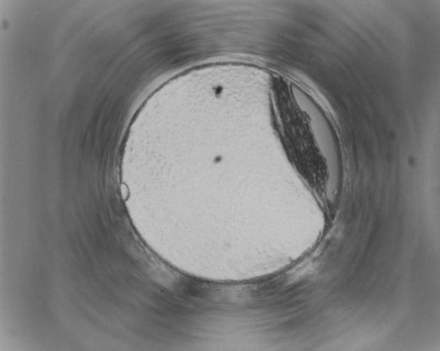 X0000066971292200604211857