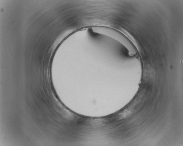 X0000066971293200604211857